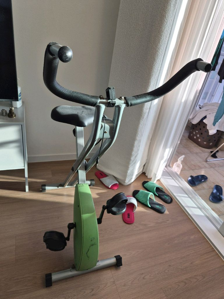 엑사이더(Excider) 접이식 실내 자전거 판매합니다 이미지