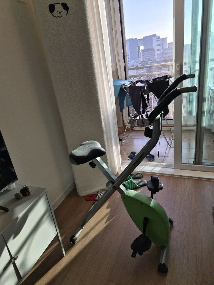 엑사이더(Excider) 접이식 실내 자전거 판매합니다 이미지