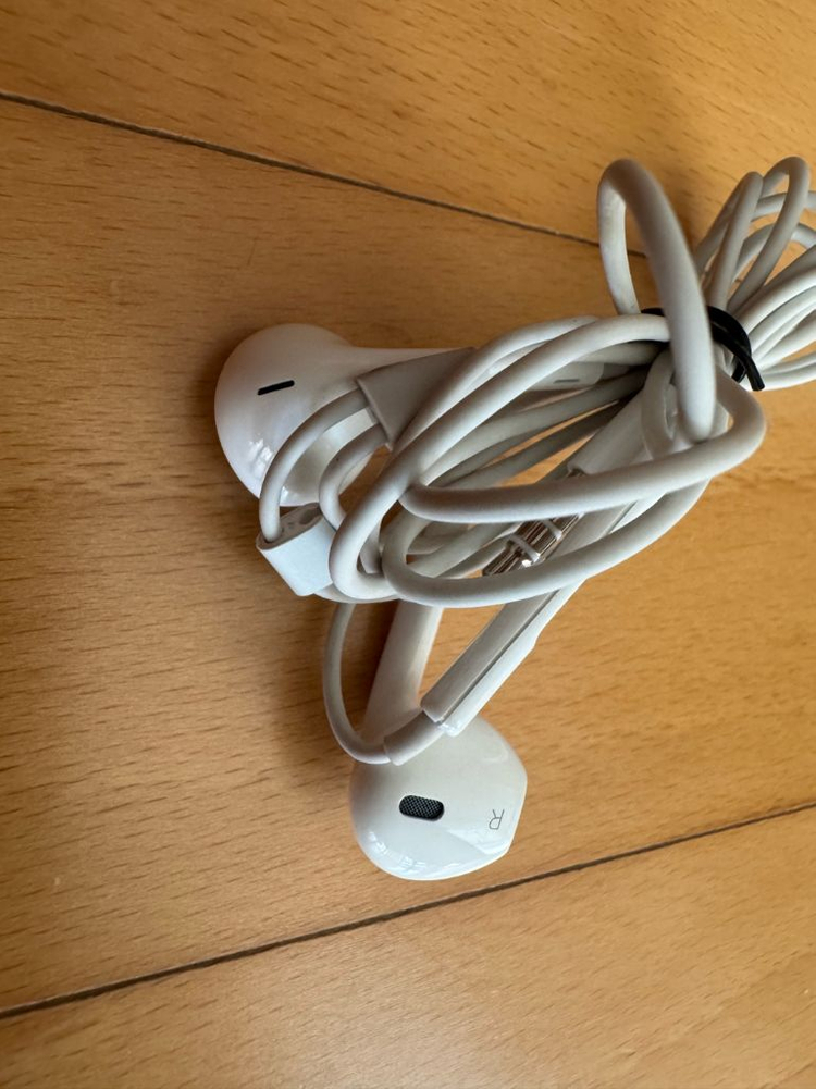 애플 아이폰 정품 이어폰 헤드 사운드 비츠 닥터드레새상--2