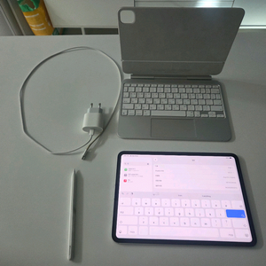 아이패드 프로 M4 셀룰러 매직키보드 케이스+애플팬슬 프로 / 쿨매!