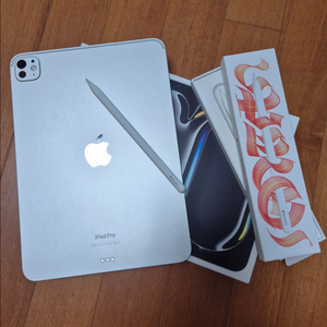 아이패드 프로11 M4 wifi 256 + 애플펜슬