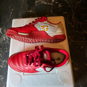 태극 족구화 250