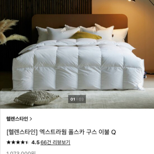 이사정리] 헬렌스타인 폴란드 폴스카 구스이불 Q 700g 구스솜털90%