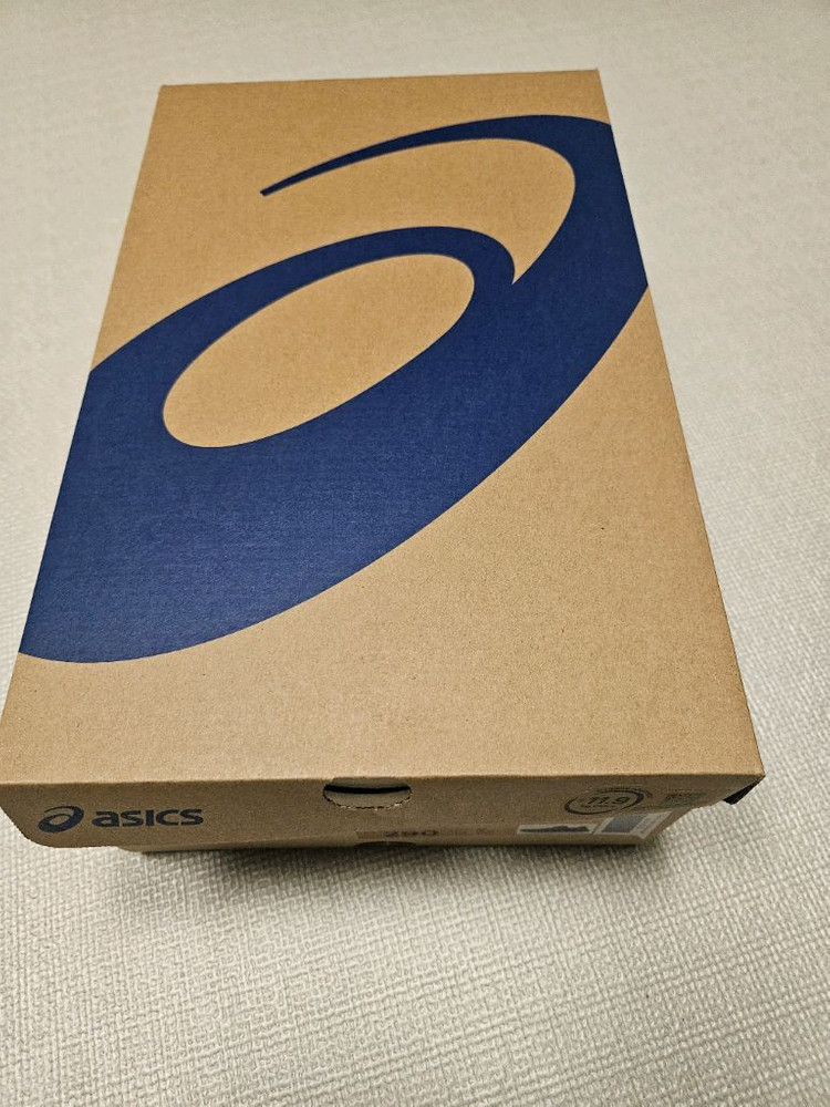 아식스 노바블라스트5 290mm--1