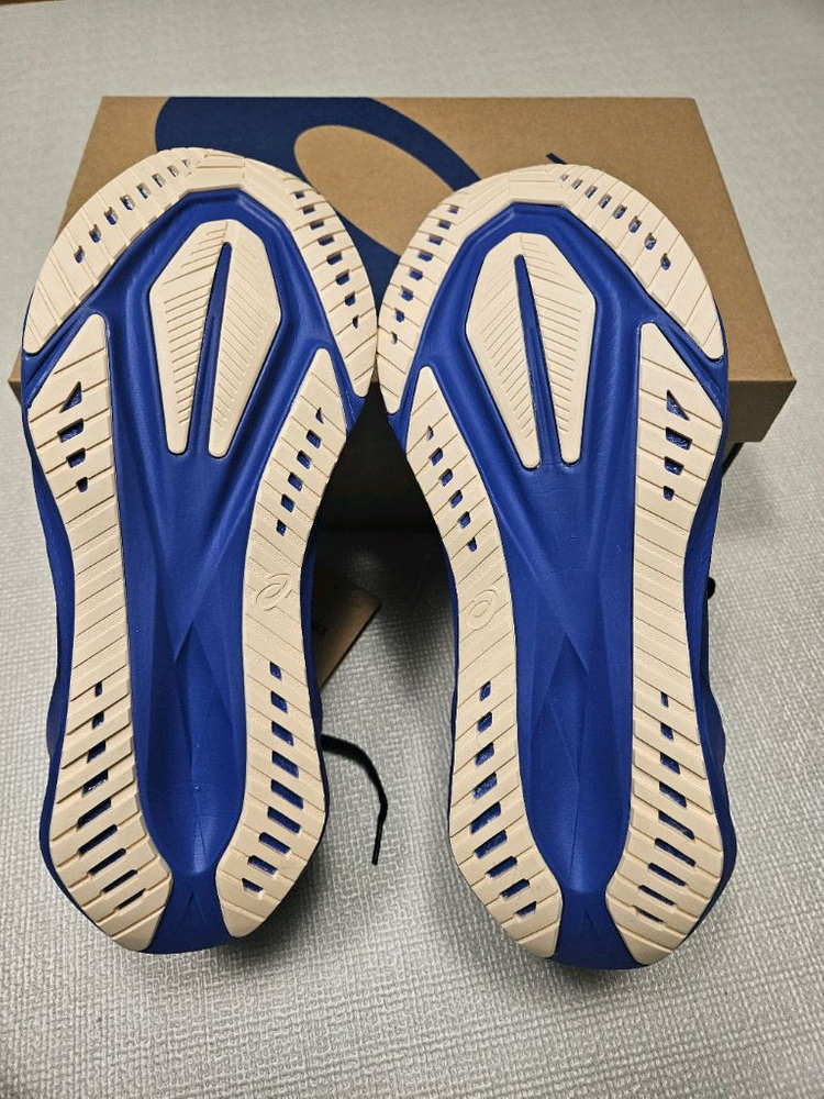 아식스 노바블라스트5 290mm--2