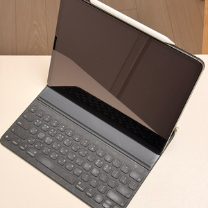 아이패드 프로 12.9 4세대 셀룰러 256g 스페이스그레이 팝니다