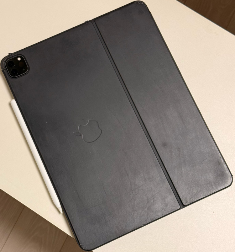 아이패드 프로 12.9 4세대 셀룰러 256g 스페이스그레이 팝니다--1