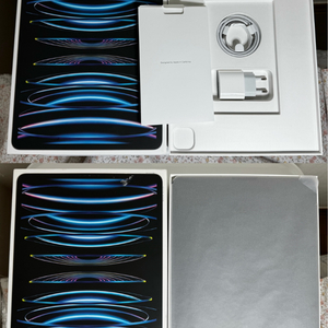 아이패드프로 12.9 6세대 256 WiFi+Cellular