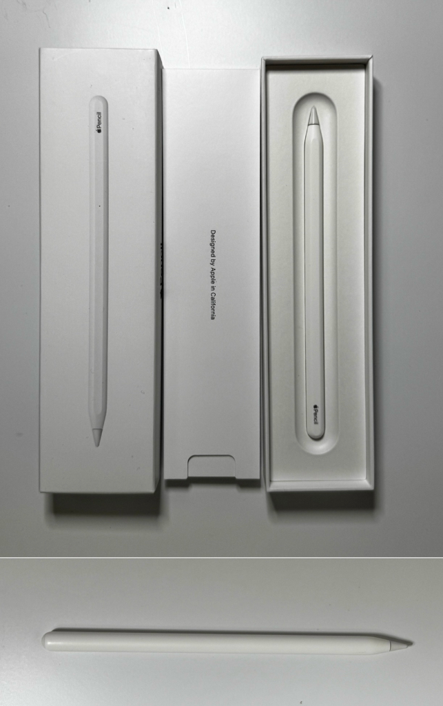 아이패드프로 12.9 6세대 256 WiFi+Cellular--4