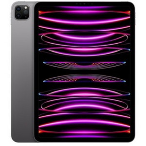 [삽니다] 아이패드 프로 4세대 256GB 삽니다.