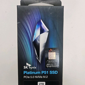 SK하이닉스 P51 M.2 NVME 2TB