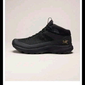 아크테릭스 에어리어스 미드 GTX