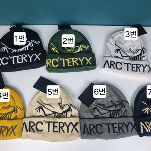 아크테릭스 비니. 버드워드토크