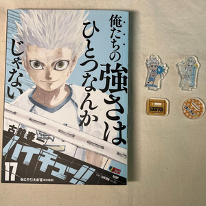 하이큐 리믹스 remix 17권 호시우미 SD아크릴 일괄