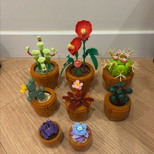 레고 10329 (다육식물 선인장 백년초 미니어처)_3만원