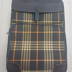 피에르가르뎅 캐리어