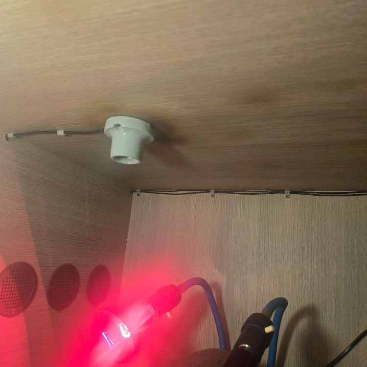 대전 동헤르만육지거북이 사육장 용품일괄분양 이미지