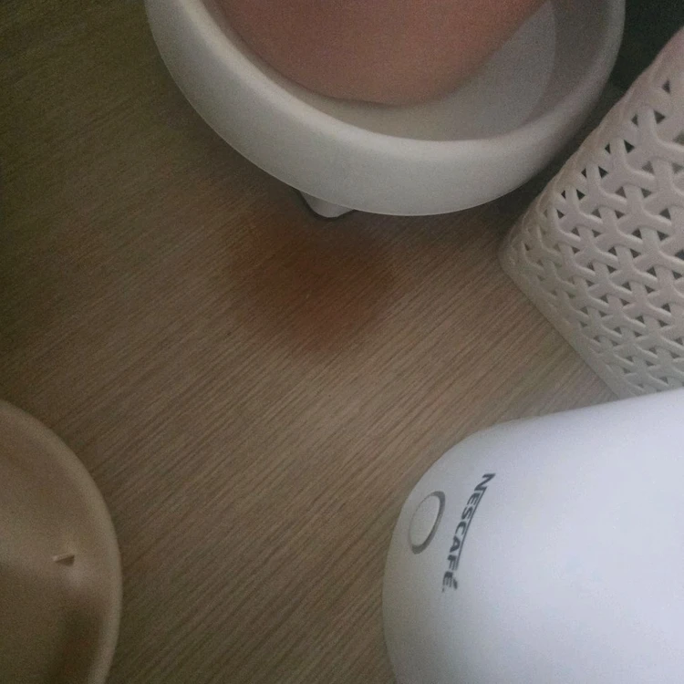 대전 동헤르만육지거북이 사육장 용품일괄분양 이미지