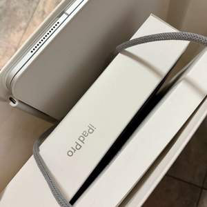 태블릿 11인치 256GB 셀룰러