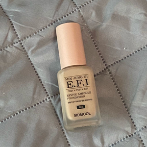 민중기 EFI 앰플 파운데이션 22호