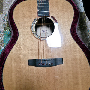 콜트 앱스트렉 델타 통기타