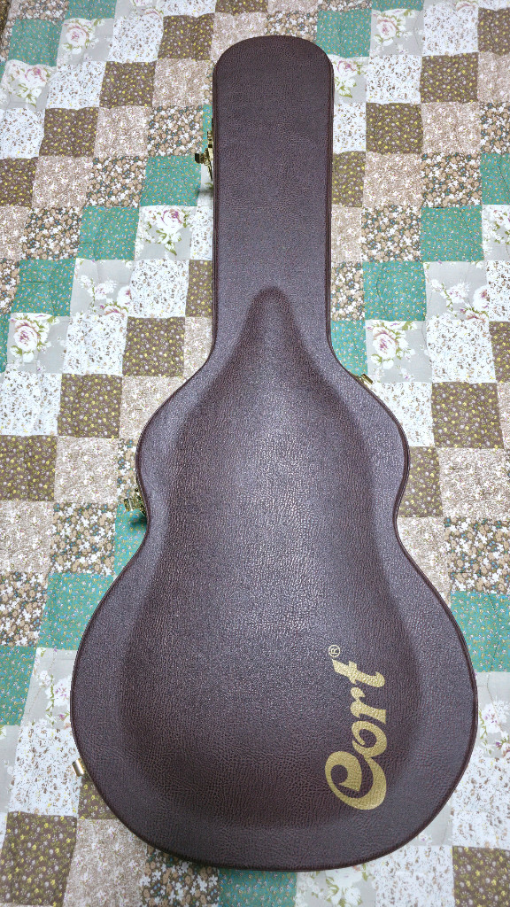 콜트 앱스트렉 델타 통기타--4