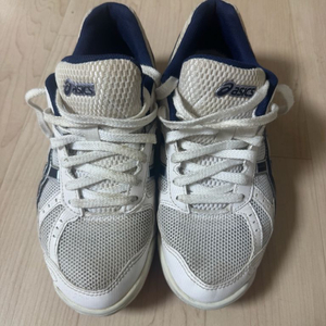 아식스 로테리브레 250