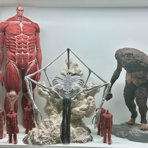 (교환) 불의 의지 나루토 & 미나토 진격의 거인이랑 교환할 분 찾습니다!