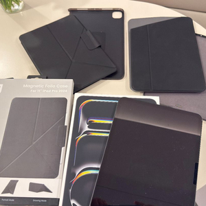 아이패드 프로 11형 M4 512 샐롤러 + PITAKA 케이스