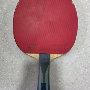 티모볼 ALC FL그립 팝니다