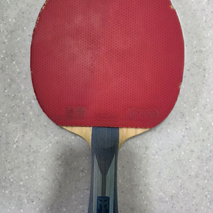 티모볼 ALC FL그립 팝니다