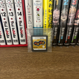 닌텐도 DS 리듬세상 개봉