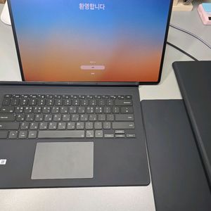 갤럭시탭 S9 울트라 512g wifi