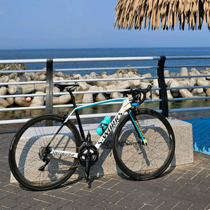 에스웍 타막 SL5 54