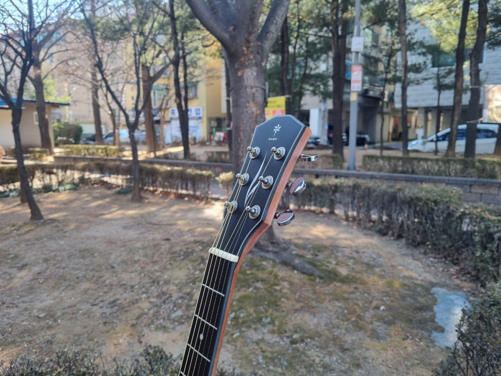 입문용 데임 통기타 신형 디자인 인기제품 기타 판매합니다--3