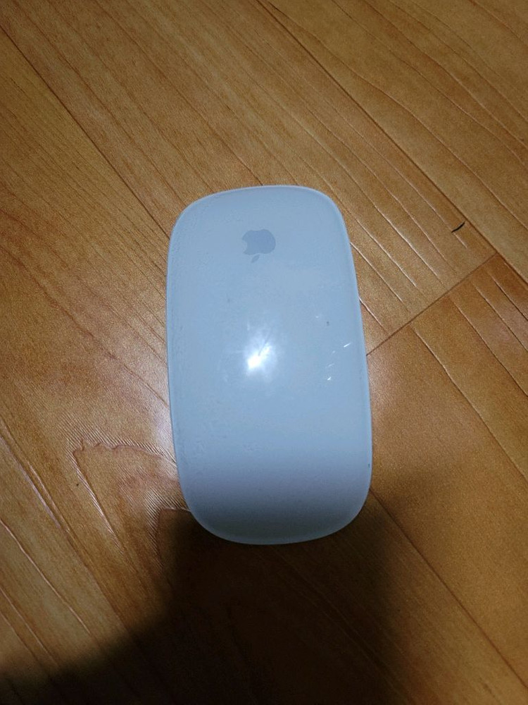 애플 매직 마우스 1세대--1