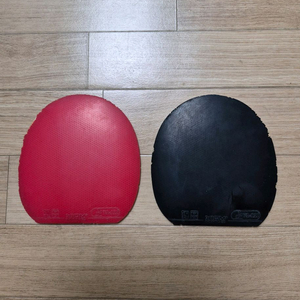 엑시옴 오메가2 아시아맥스 1쌍