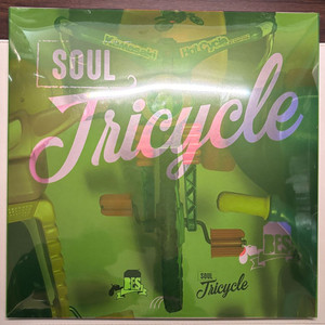 브아솔(브라운아이드소울) Lp(한정판 블루컬러)