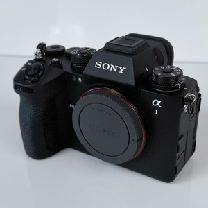 소니 A1m2 판매합니다(보증기간 28년 2월까지)