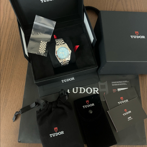 튜더 블랙베이라군블루