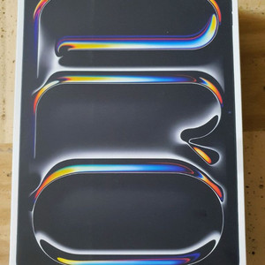 아이패드 프로11 256 (m5) 와이파이+셀룰러