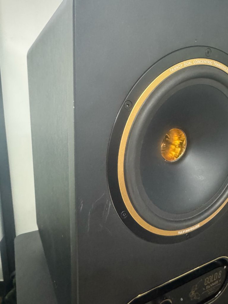 탄노이 골드 8 이미지