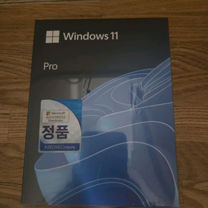[미개봉/무배]윈도우11 프로 FPP, USB pro