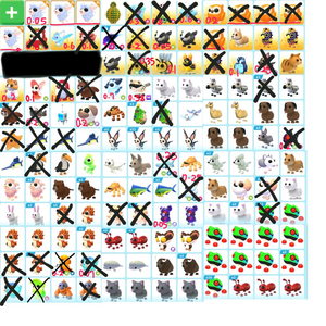 입양하세요 잡펫 능펫 차 등 팝니다 이미지