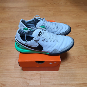 티엠포 프록시모 tf