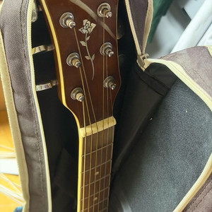 dame 기타 거의 새것 상태좋음. 통기타.