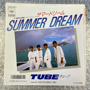 Tube / Summer Dream 7인치 싱글 이미지