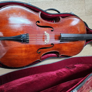 전공용 올드첼로 상태건강함 시향단원사용악기 가격문의 이미지