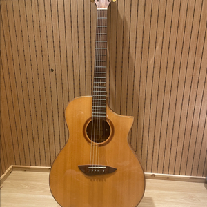 고퍼우드 G720 ce 어쿠스틱 기타