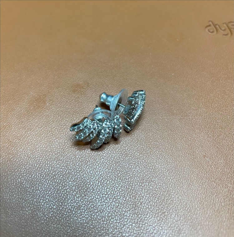 헤비츠 리프 이어링(귀걸이)--1